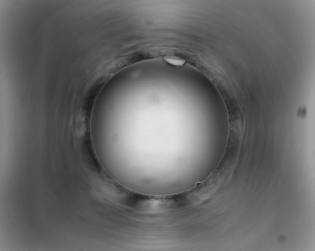X0000102380323200808011542