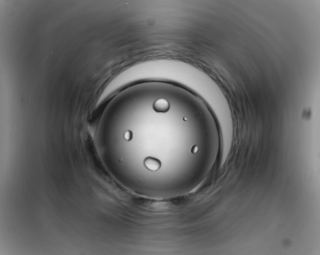 X0000102380324200808011542