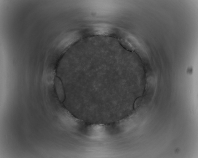 X0000102380325200808011542