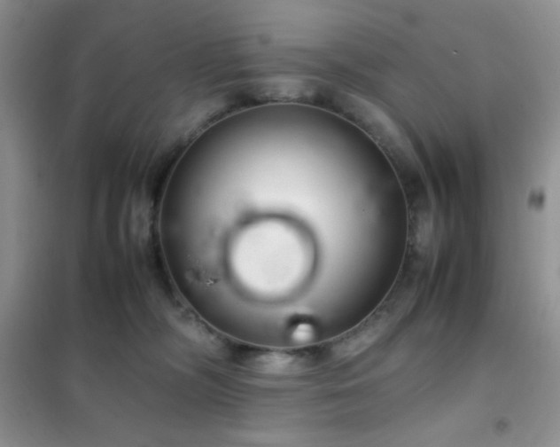 X0000102380326200808011542