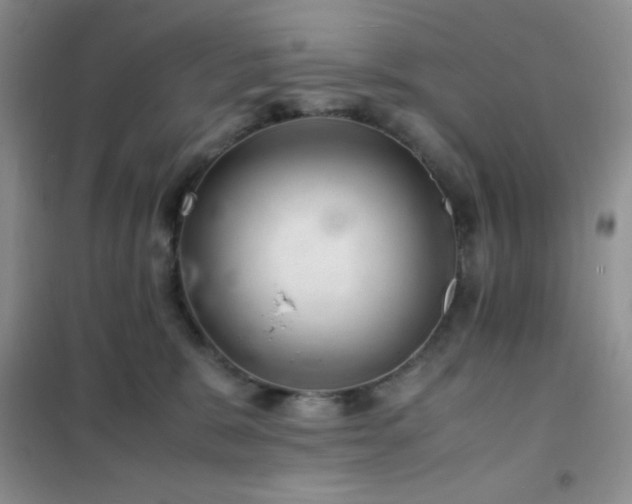X0000102380327200808011542