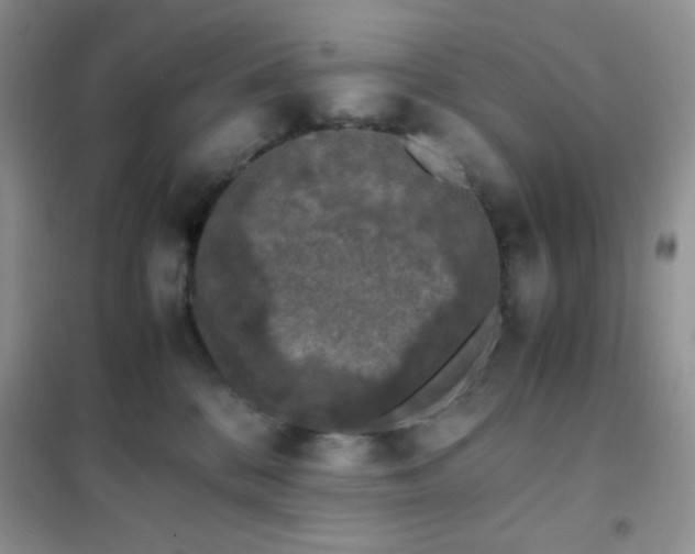 X0000102380328200808011542