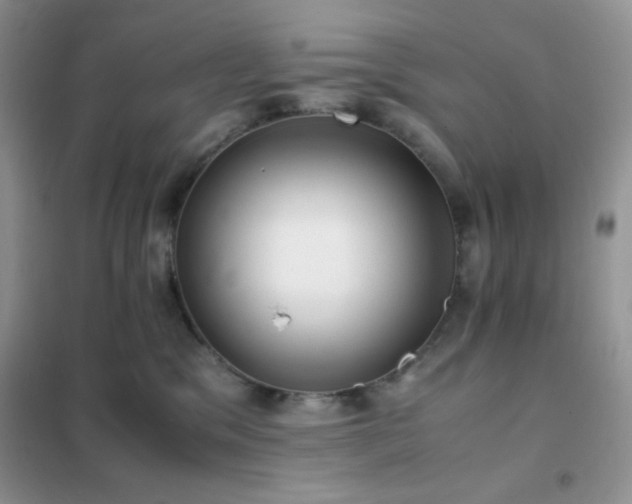 X0000102380329200808011542