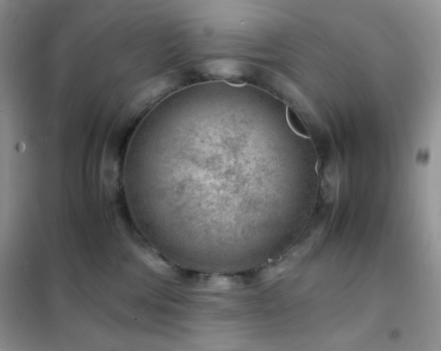 X0000102380330200808011542
