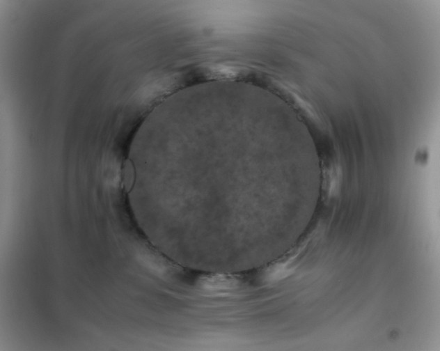 X0000102380331200808011542