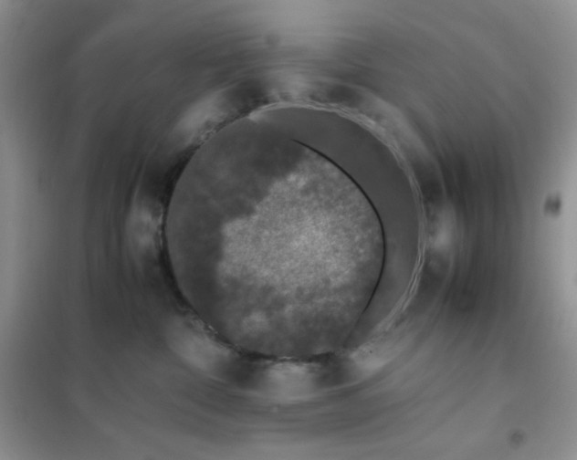 X0000102380332200808011542