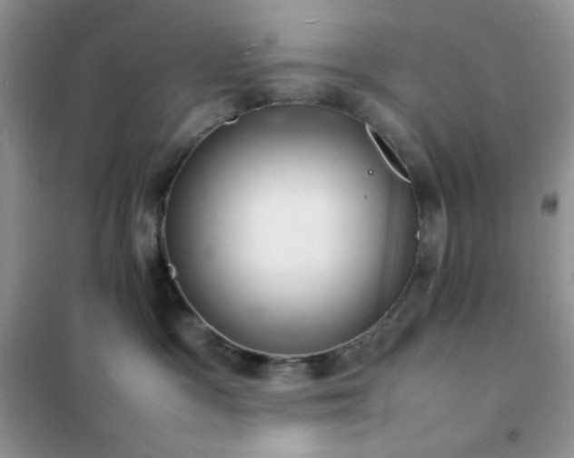 X0000102380333200808011542