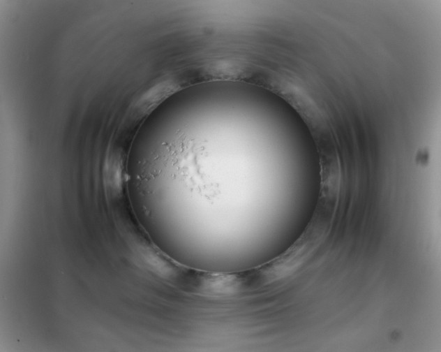 X0000102380334200808011542