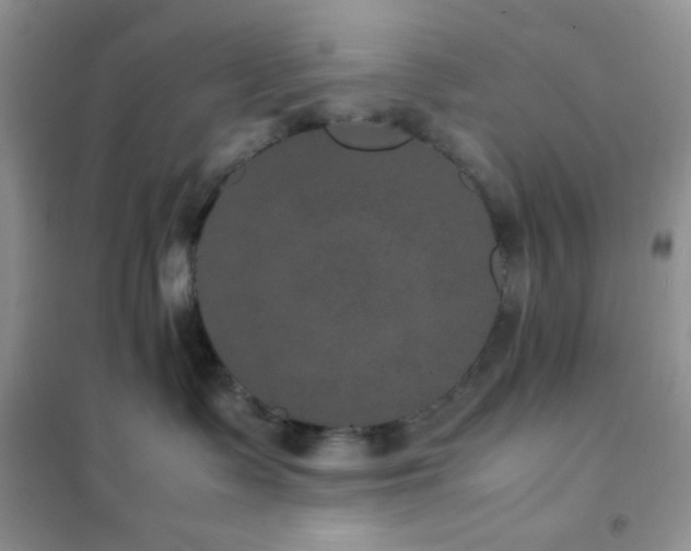 X0000102380335200808011542