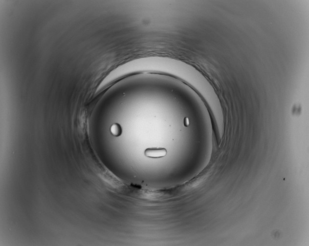X0000102380336200808011542