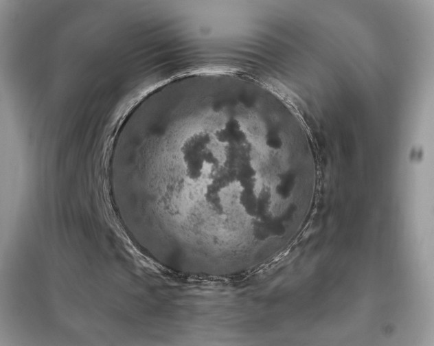 X0000102380337200808011541