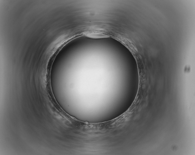 X0000102380338200808011541