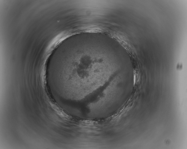 X0000102380339200808011542