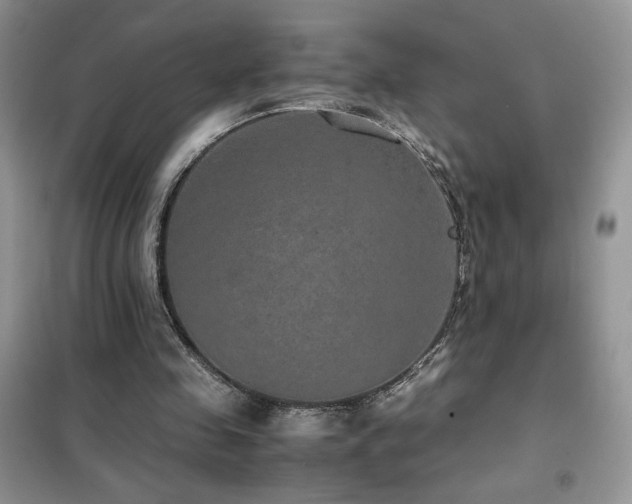 X0000102380341200808011542
