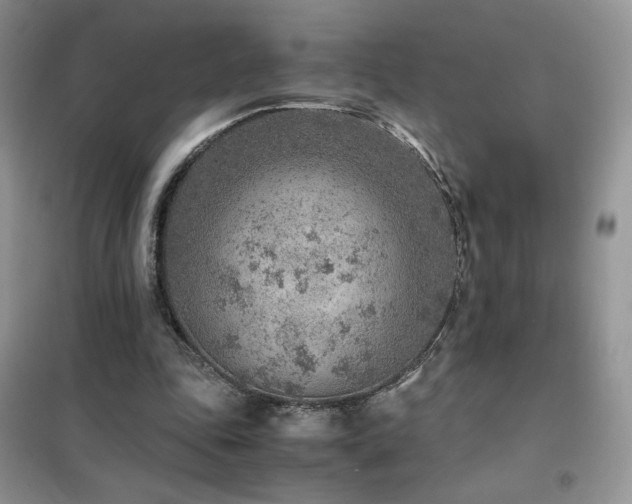 X0000102380343200808011542