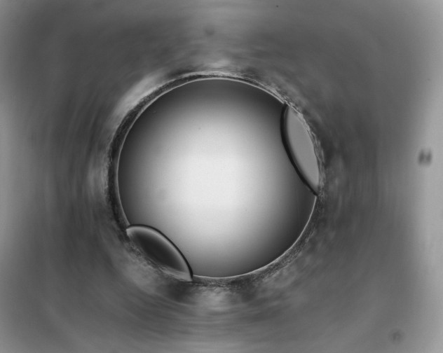 X0000102380344200808011542