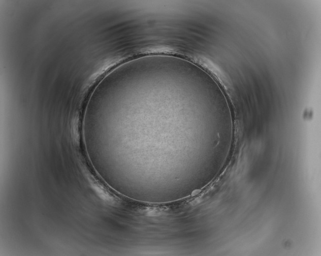 X0000102380345200808011542