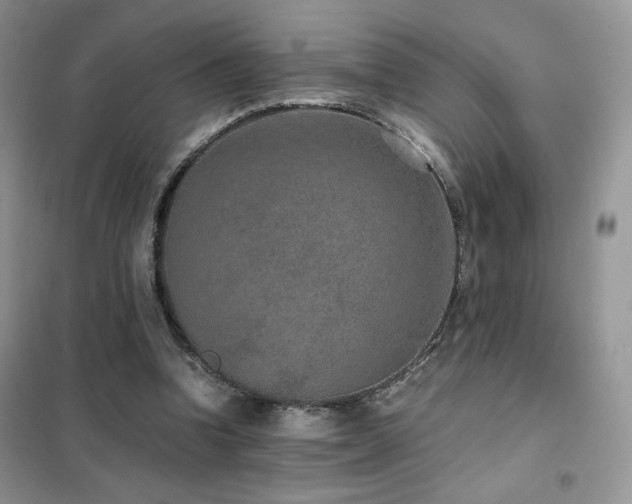 X0000102380346200808011542