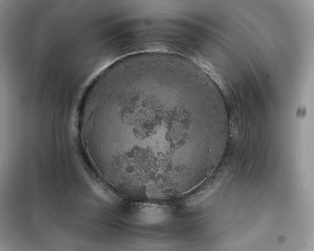 X0000102380347200808011542