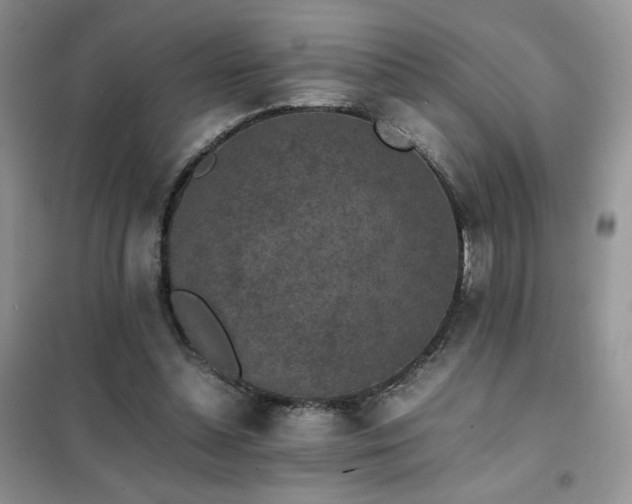 X0000102380348200808011542