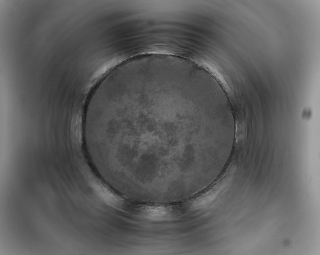 X0000102380349200808011542