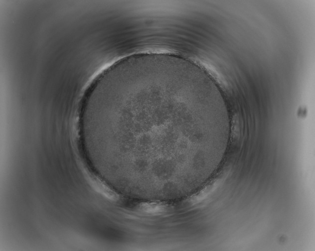 X0000102380351200808011542