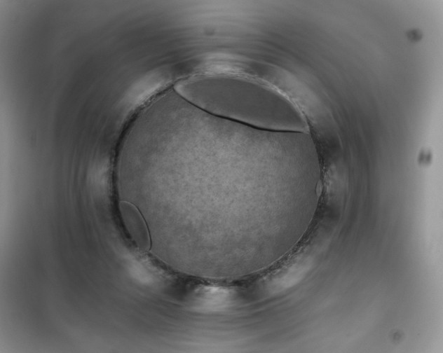 X0000102380352200808011542