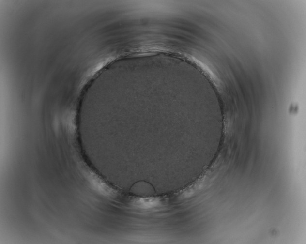 X0000102380353200808011542
