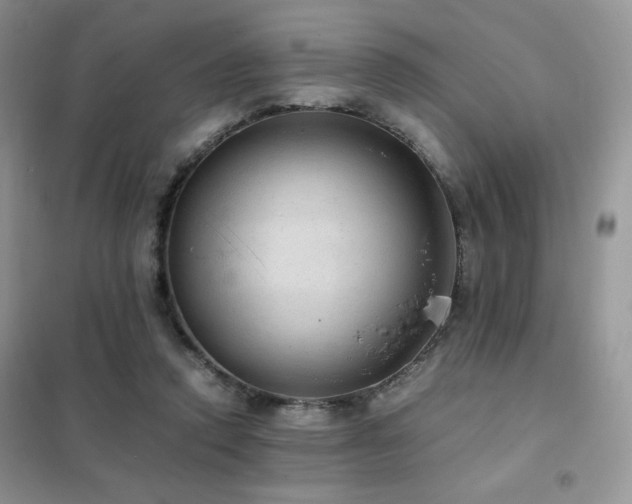 X0000102380354200808011542