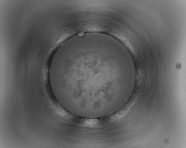 X0000102380355200808011542