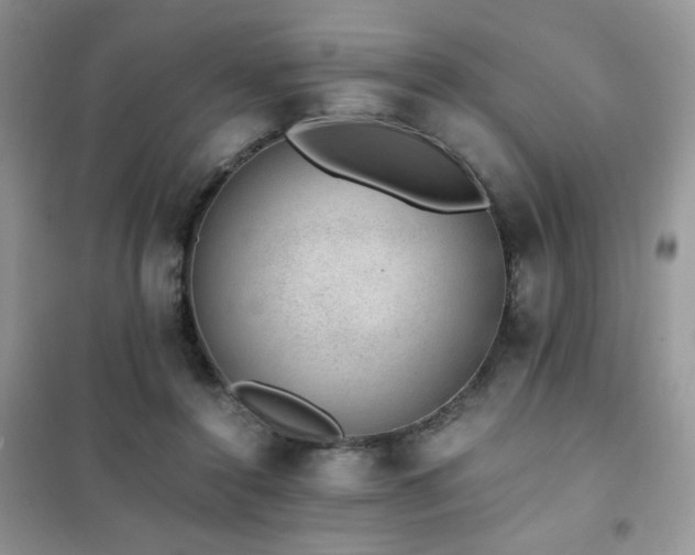 X0000102380356200808011542