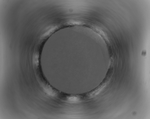 X0000102380358200808011542