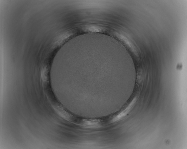 X0000102380359200808011542