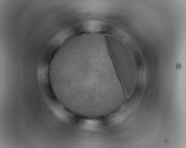 X0000102380360200808011542
