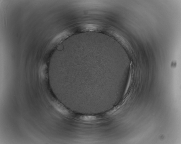 X0000102380361200808011542
