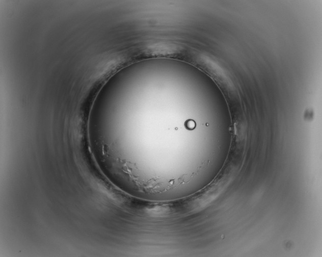X0000102380362200808011542