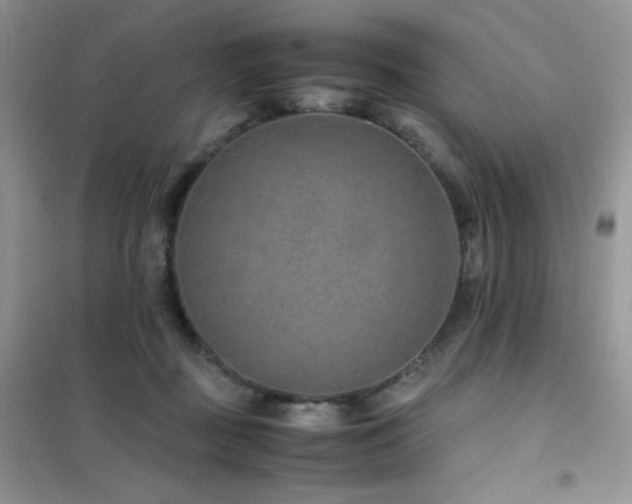 X0000102380363200808011542