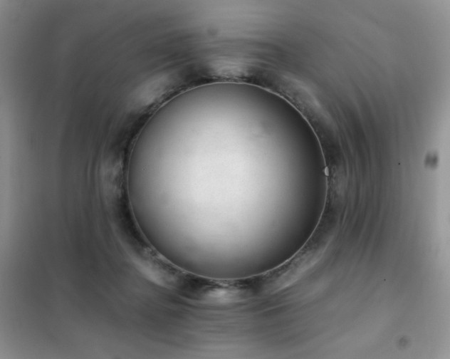 X0000102380364200808011542