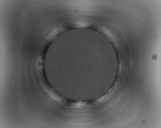 X0000102380366200808011542