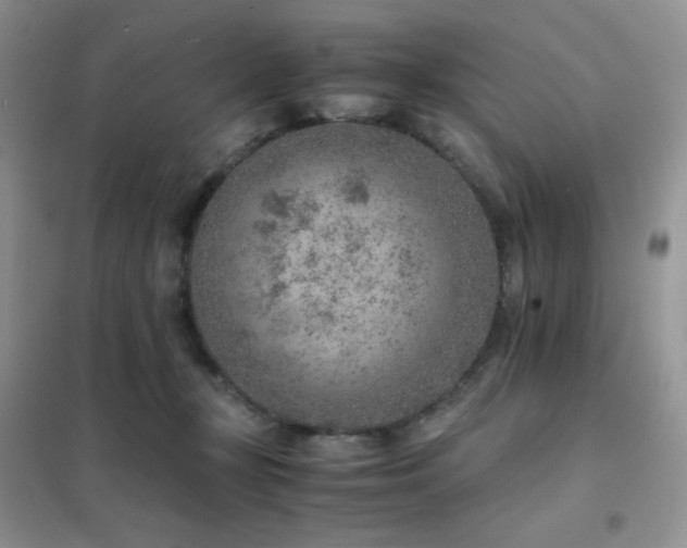 X0000102380367200808011542
