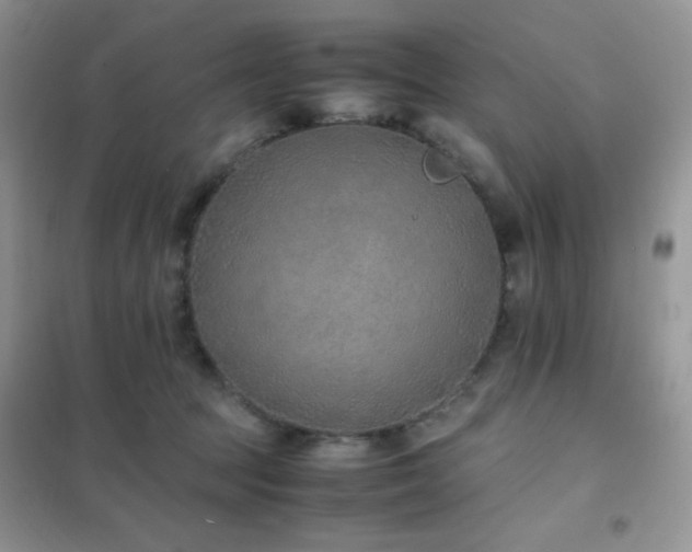 X0000102380369200808011542
