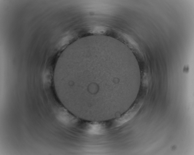 X0000102380370200808011542