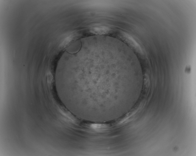 X0000102380371200808011542