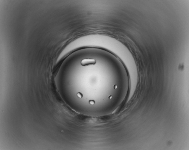 X0000102380372200808011542