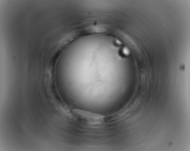 X0000102380373200808011542