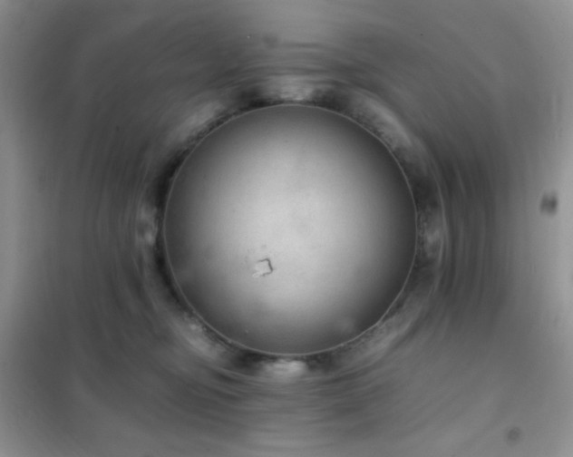 X0000102380374200808011542