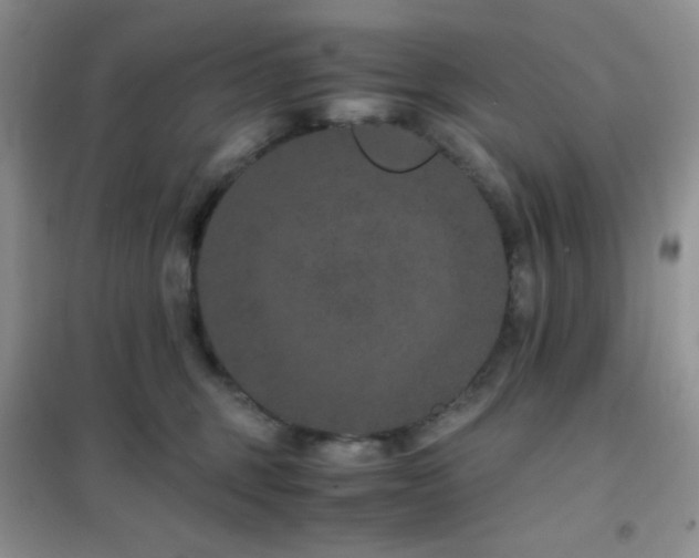 X0000102380375200808011542