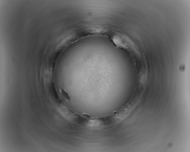 X0000102380376200808011542