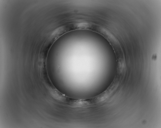 X0000102380379200808011542