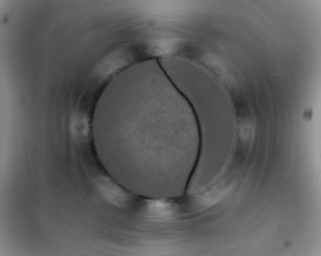 X0000102380380200808011542
